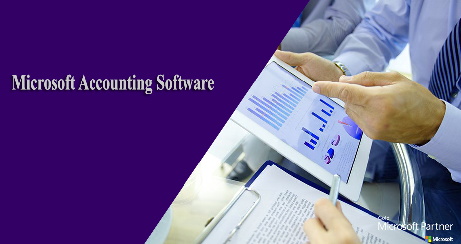 Microsoft Accounting Software